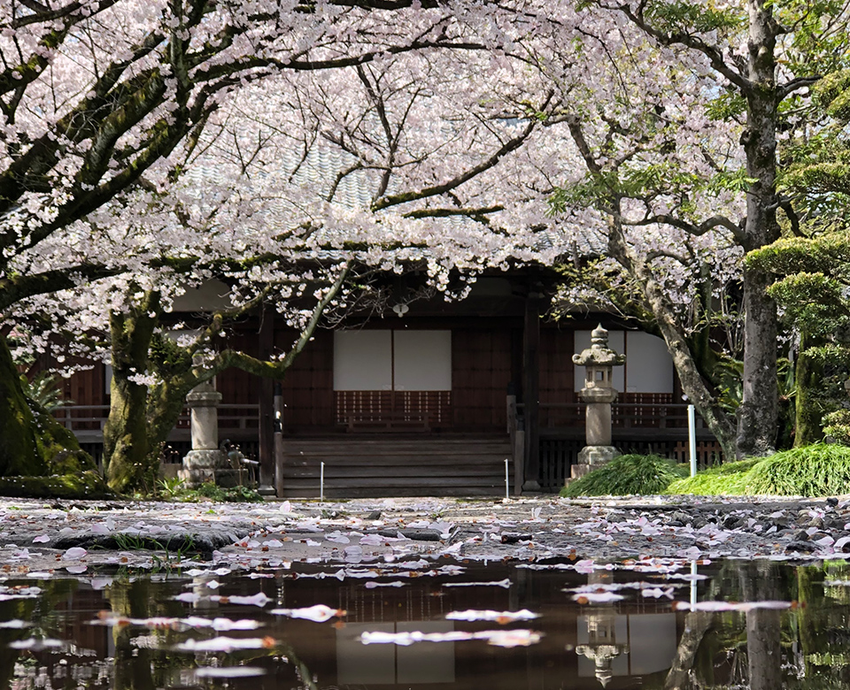 法華寺について